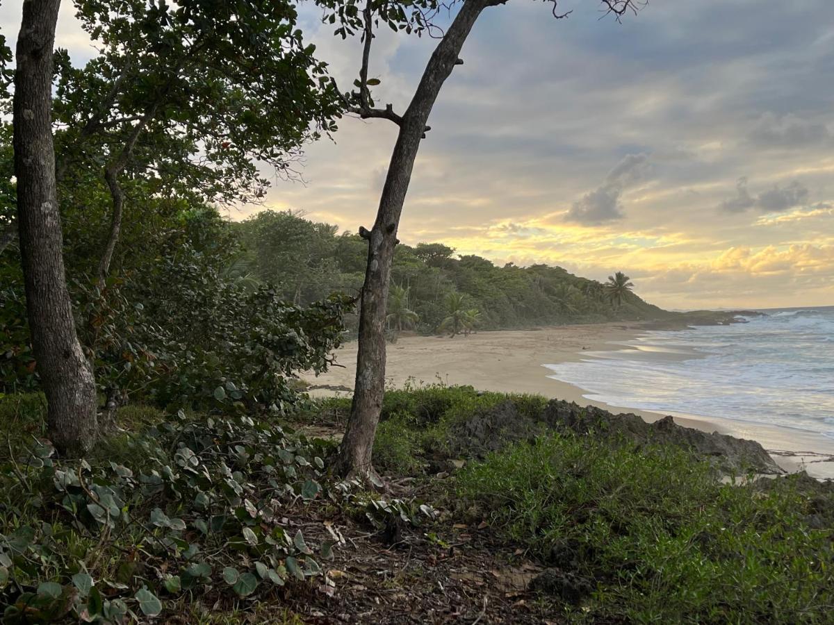 Beach Cabarete Ecolodge De Luxe Maravilla Encuentro Surf, Kite 外观 照片